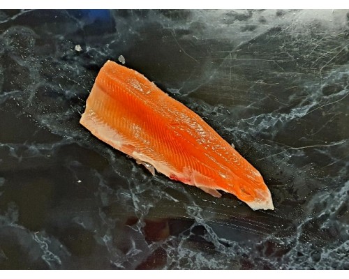 Fresh Trout Fillets